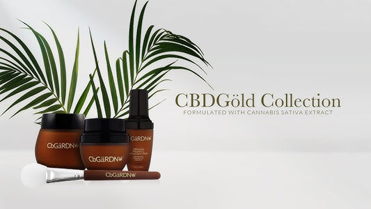 Inside the Skincare Routines of Women Who Glow Differently